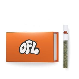 Oakfruitland โ Beach Break